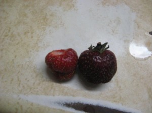 2-Strawberries