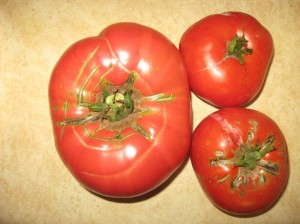 Huge-Tomato