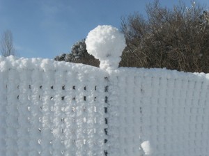 Snow-Fence