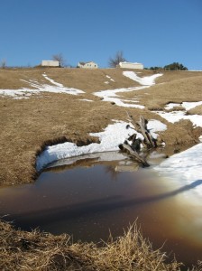 Snowmelt-Vernal-Pond