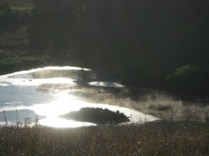 Sun-Fog-Pond
