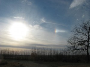 Sundog