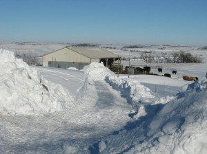 Big-Snow-Drift-Cut