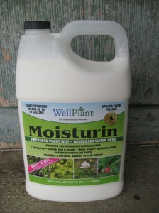 Well-Plant-Moisturin