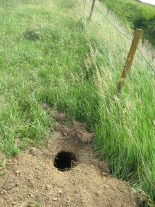 Hole-In-Ground