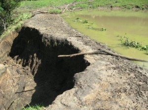 Pond-Dam-Failing