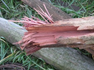 Red-Cedar-Post