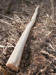 debarking logs