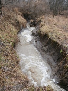 gully washer