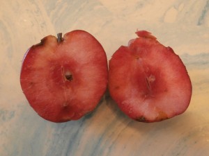 red flesh apple